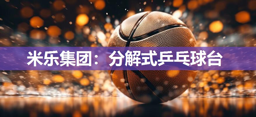 米乐集团：分解式乒乓球台