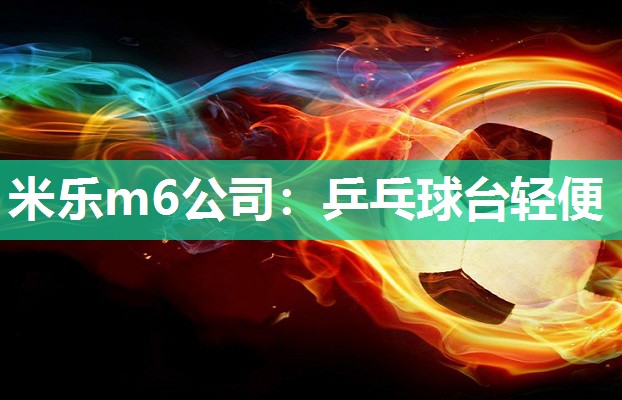 米乐m6公司：乒乓球台轻便