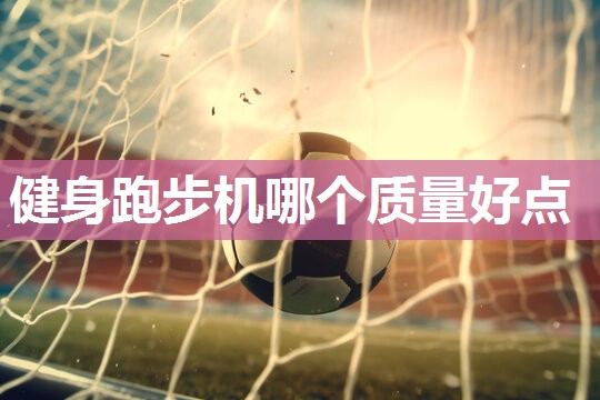 健身跑步机哪个质量好点