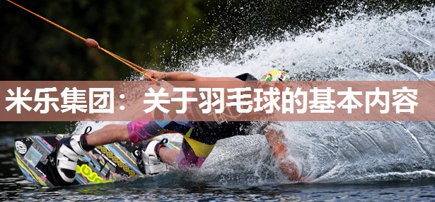米乐集团:关于羽毛球的基本内容