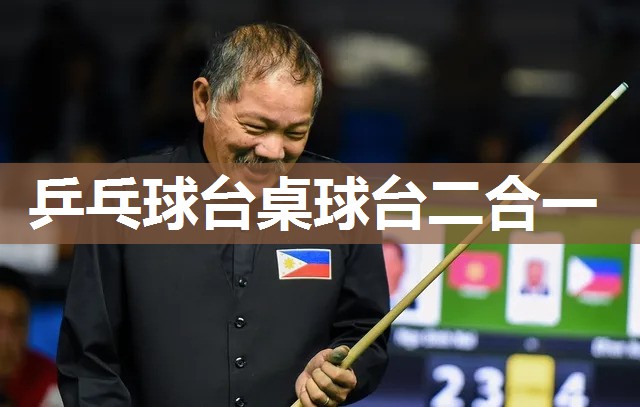 乒乓球台桌球台二合一