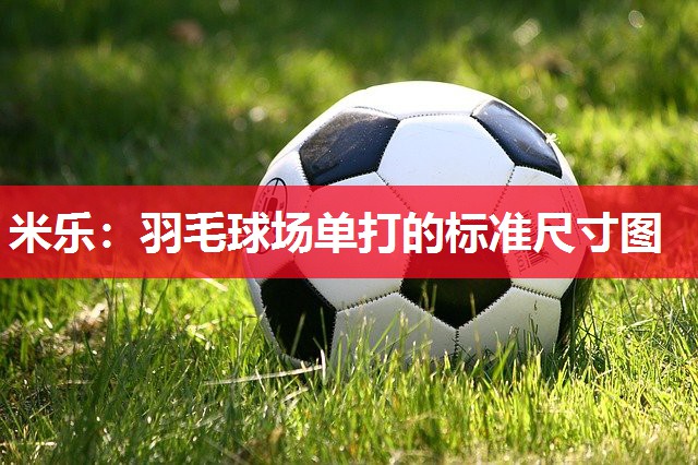 米乐:羽毛球场单打的标准尺寸图