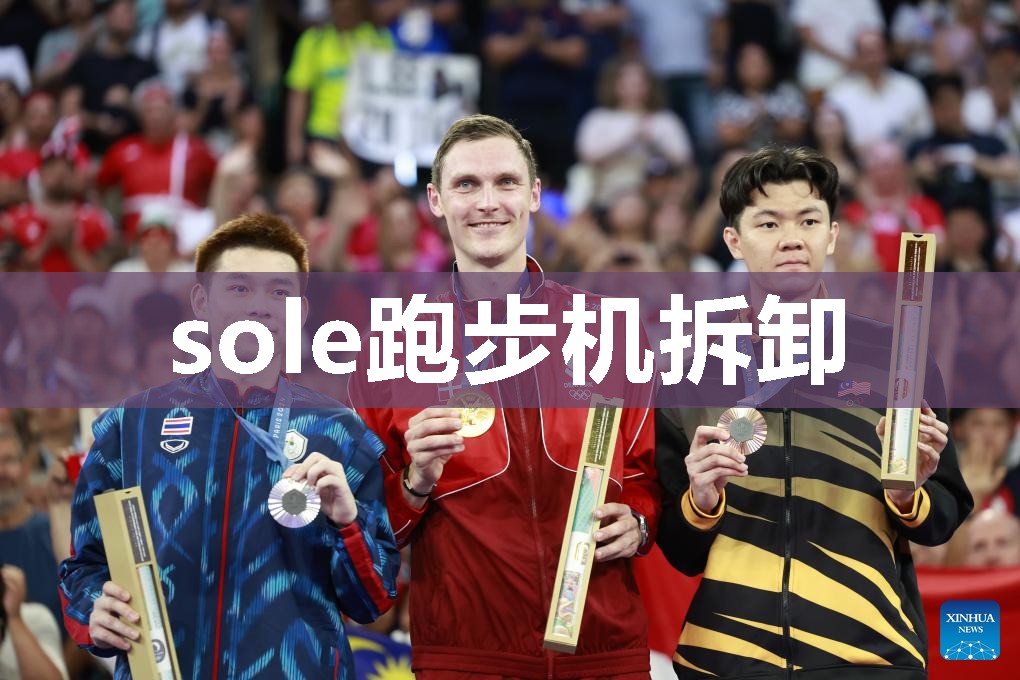 sole跑步机拆卸