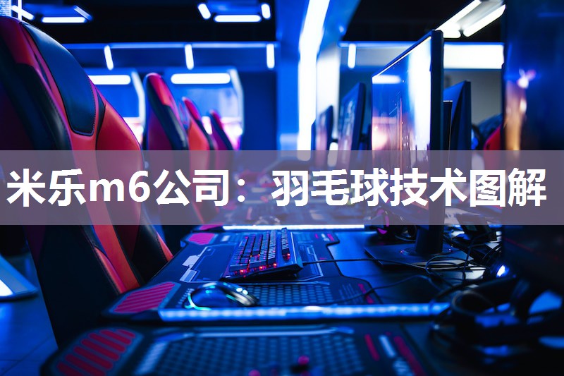 米乐m6公司:羽毛球技术图解
