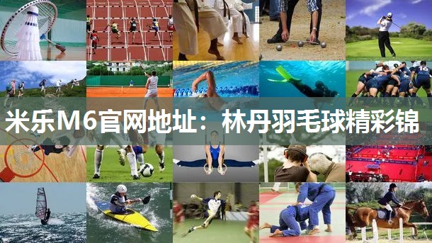 米乐M6官网地址:林丹羽毛球精彩锦