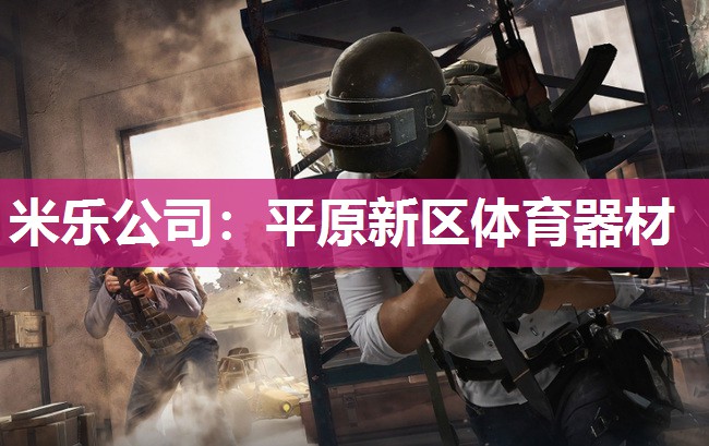 米乐公司:平原新区体育器材