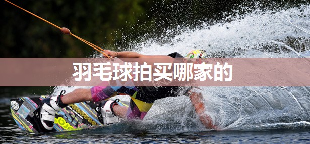 羽毛球拍买哪家的