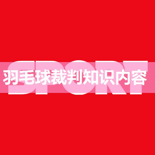 羽毛球裁判知识内容