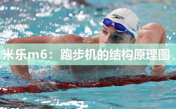 米乐m6：跑步机的结构原理图