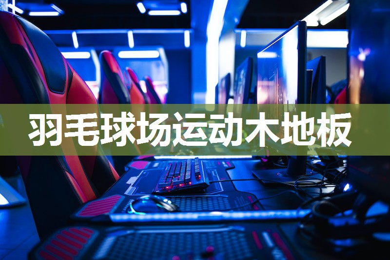 羽毛球场运动木地板