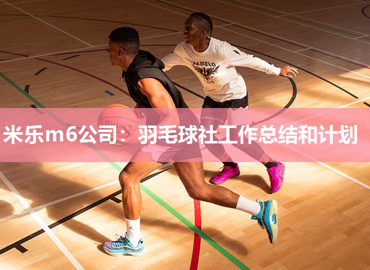米乐m6公司:羽毛球社工作总结和计划