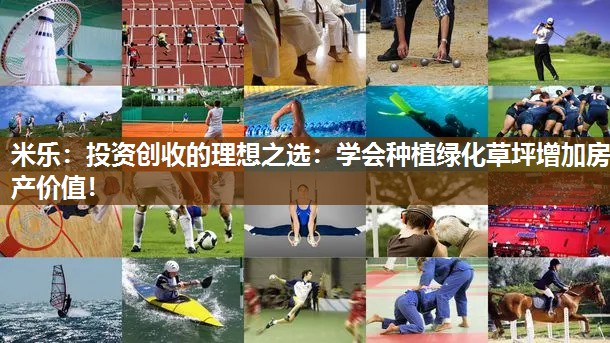米乐:投资创收的理想之选:学会种植绿化草坪增加房产价值!