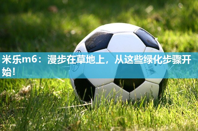 米乐m6:漫步在草地上,从这些绿化步骤开始!