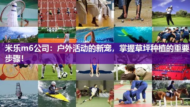 米乐m6公司:户外活动的新宠,掌握草坪种植的重要步骤!