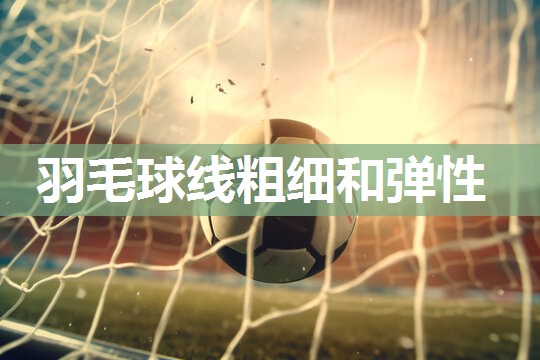 羽毛球线粗细和弹性