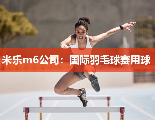 米乐m6公司:国际羽毛球赛用球
