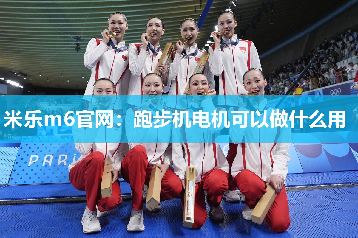 米乐m6官网:跑步机电机可以做什么用