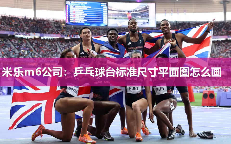 米乐m6公司:乒乓球台标准尺寸平面图怎么画