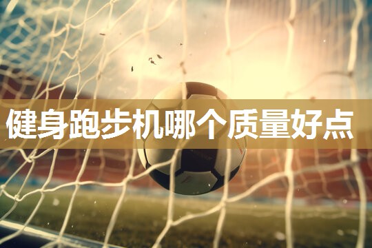 健身跑步机哪个质量好点