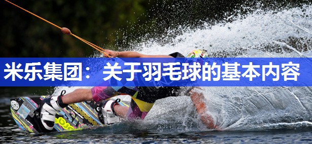 关于羽毛球的基本内容
