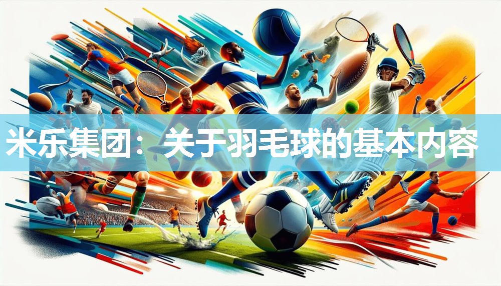 关于羽毛球的基本内容