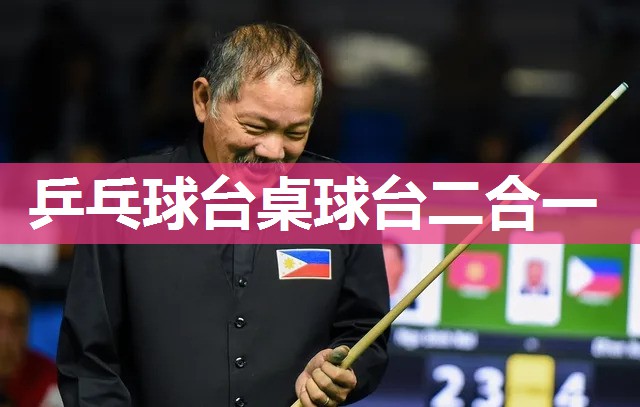 乒乓球台桌球台二合一