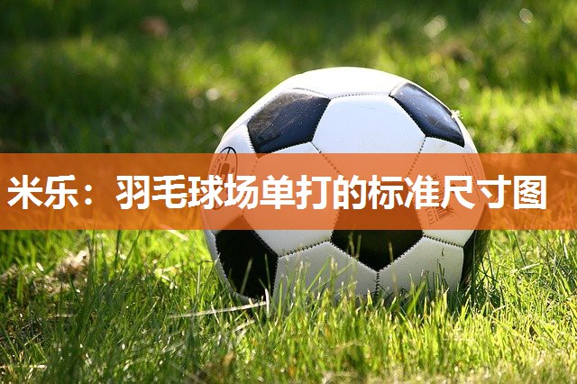 羽毛球场单打的标准尺寸图