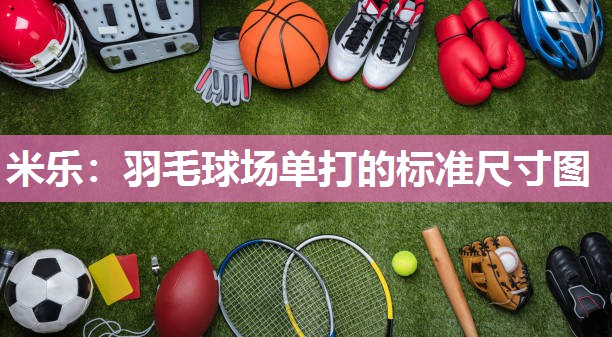 羽毛球场单打的标准尺寸图