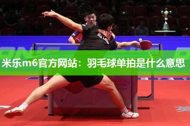 羽毛球单拍是什么意思