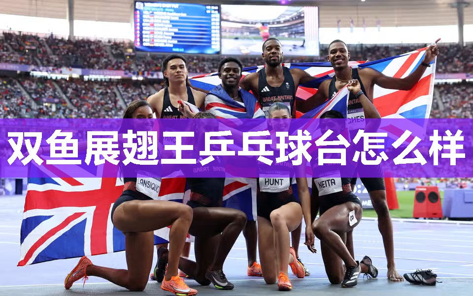 双鱼展翅王乒乓球台怎么样