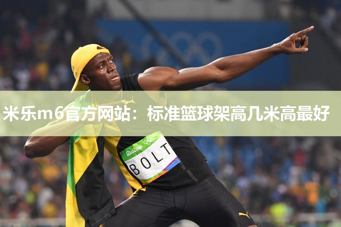 标准篮球架高几米高最好