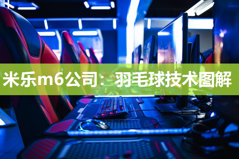 羽毛球技术图解