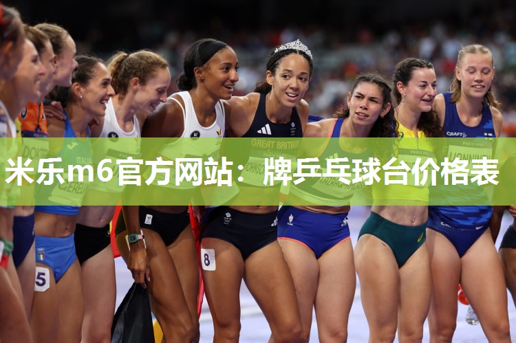 牌乒乓球台价格表
