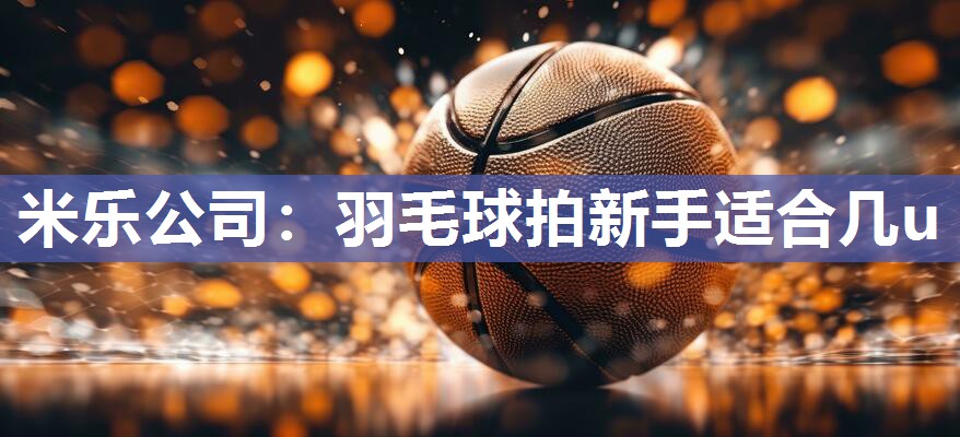 羽毛球拍新手适合几u