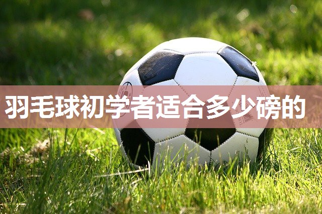 羽毛球初学者适合多少磅的