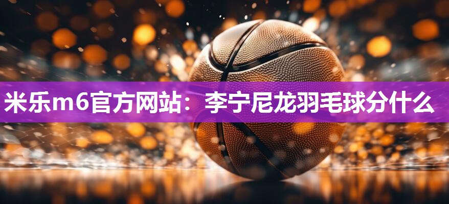 李宁尼龙羽毛球分什么