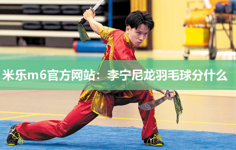 李宁尼龙羽毛球分什么