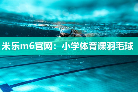 小学体育课羽毛球