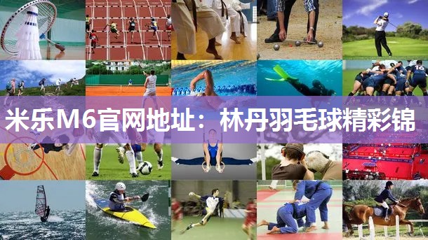林丹羽毛球精彩锦