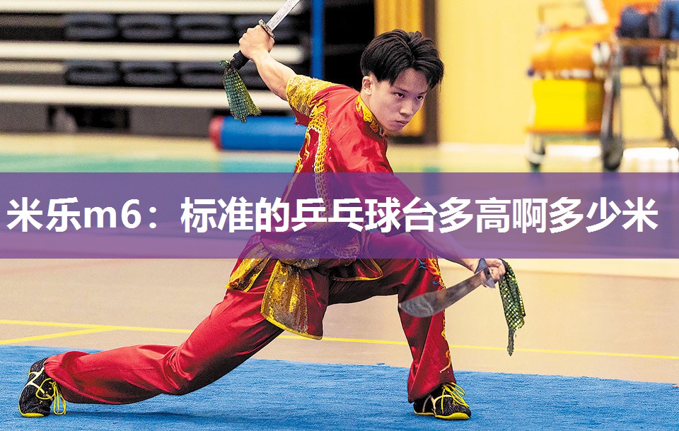 标准的乒乓球台多高啊多少米