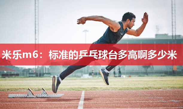 标准的乒乓球台多高啊多少米