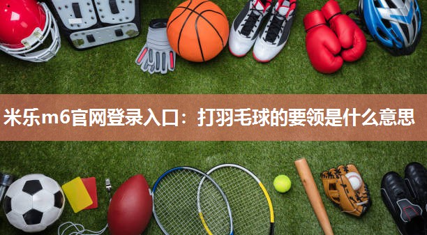 打羽毛球的要领是什么意思