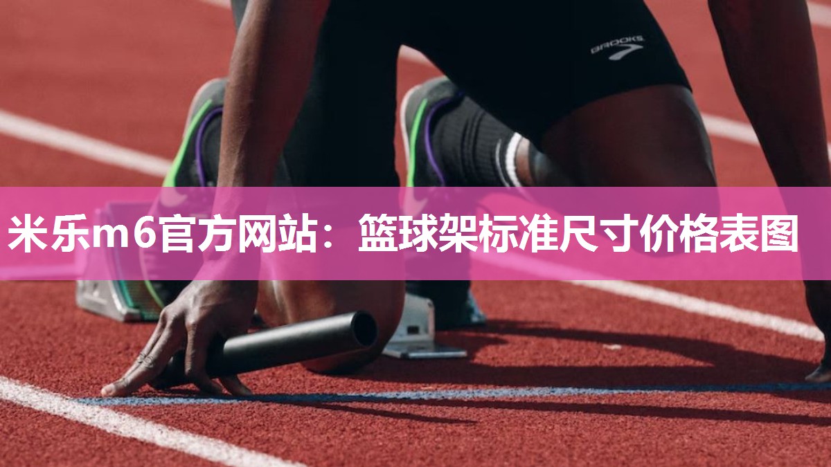 篮球架标准尺寸价格表图