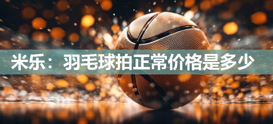 羽毛球拍正常价格是多少