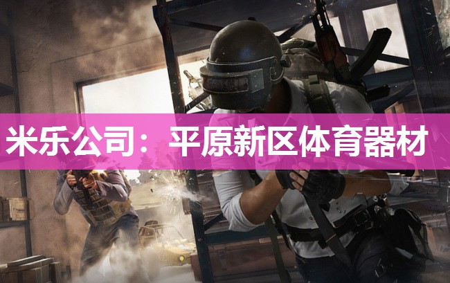 平原新区体育器材