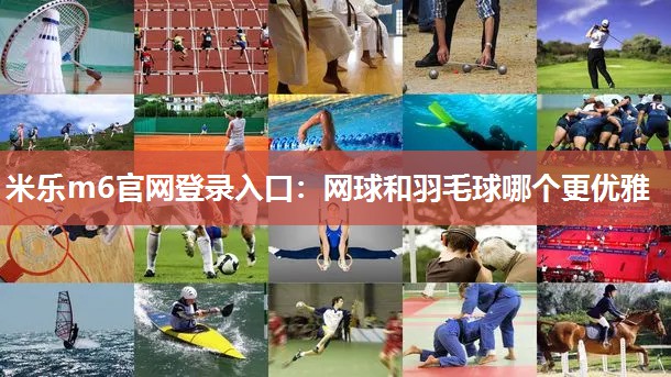 网球和羽毛球哪个更优雅