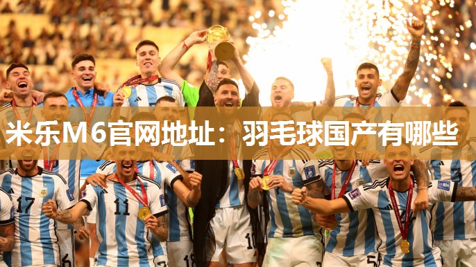羽毛球国产有哪些