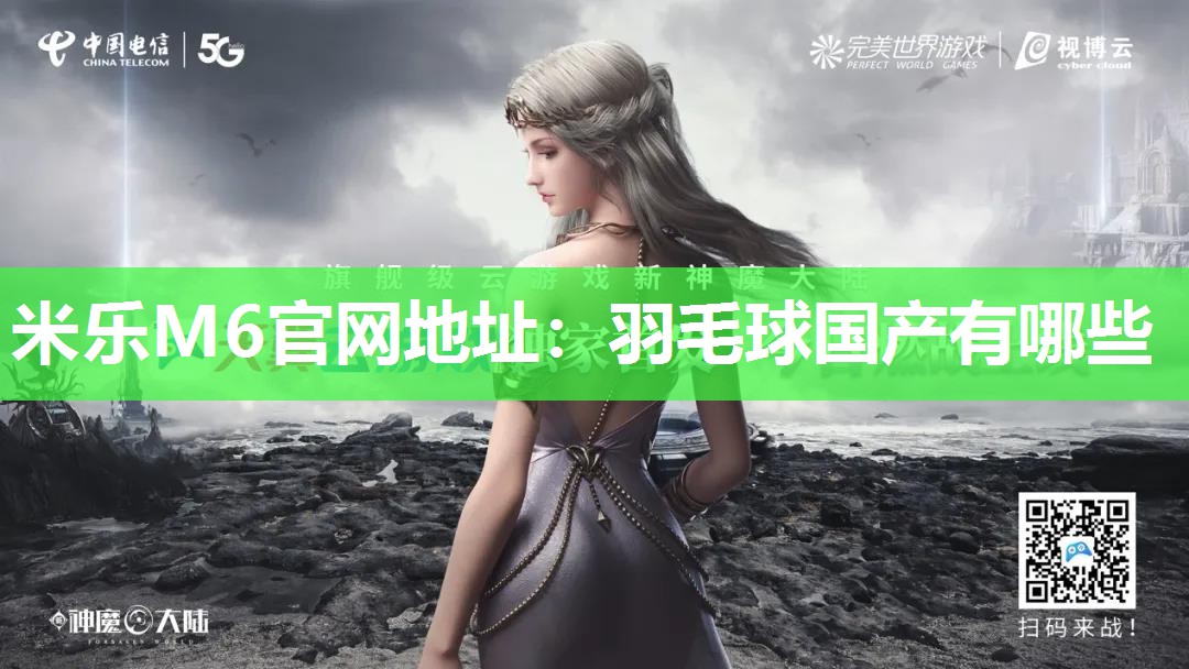羽毛球国产有哪些