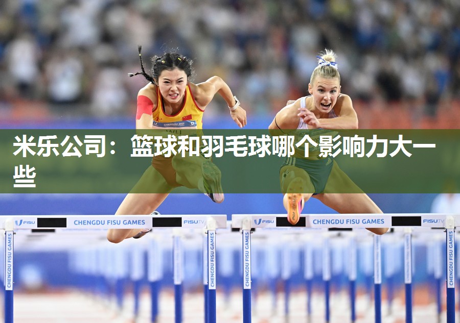 篮球和羽毛球哪个影响力大一些