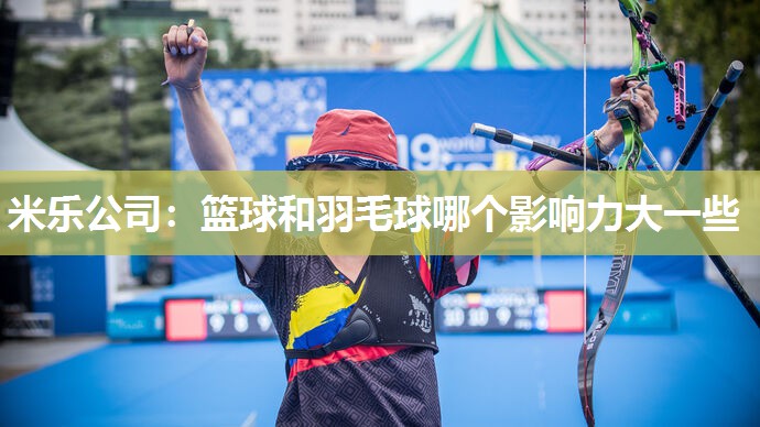 篮球和羽毛球哪个影响力大一些